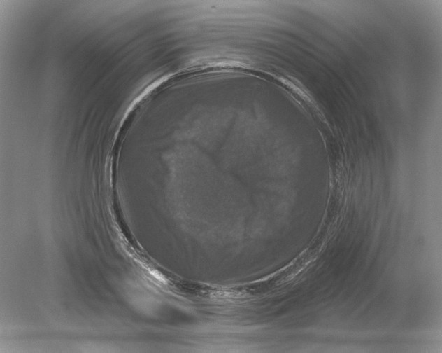 X0000078870790200612041957