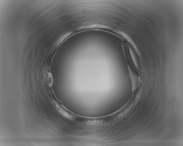 X0000078870793200612041957