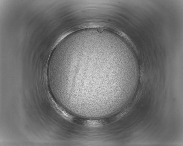 X0000078870794200612041957