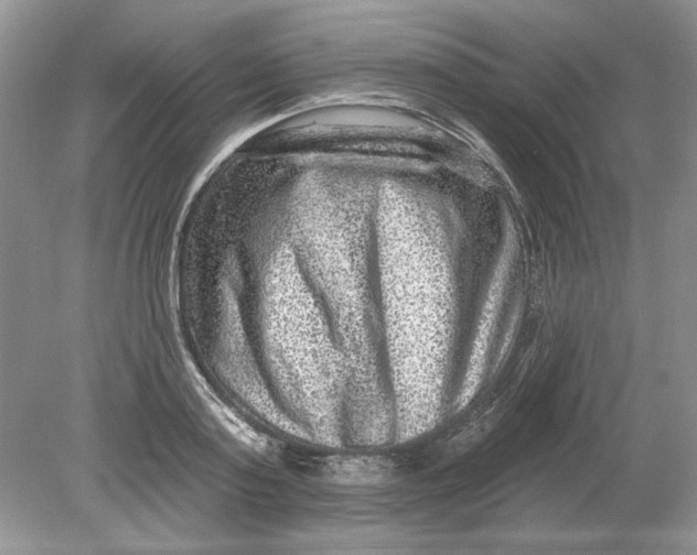 X0000078870795200612041957