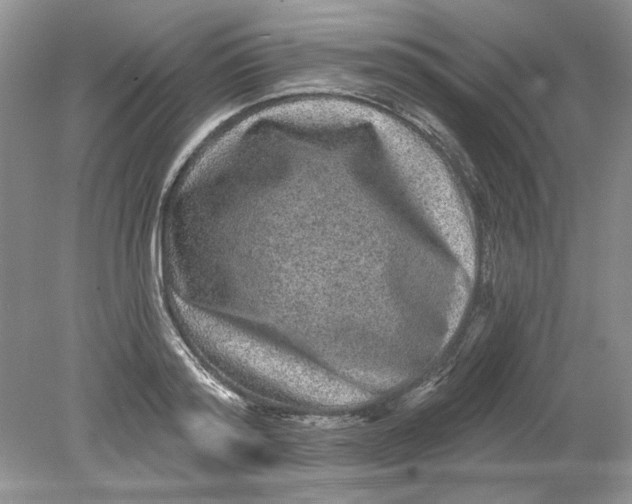 X0000078870796200612041957