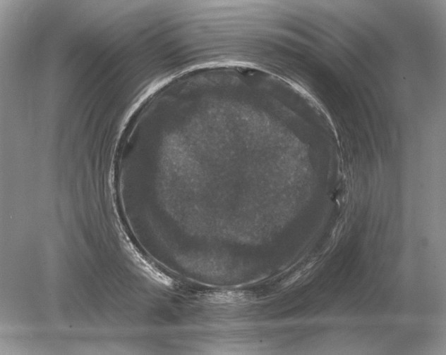 X0000078870797200612041957