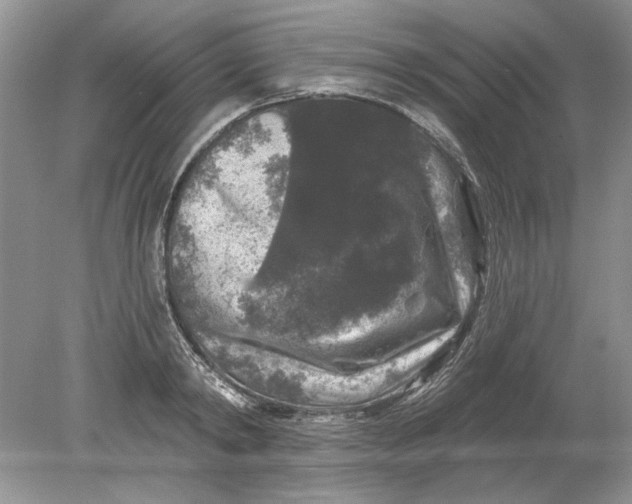 X0000078870798200612041957