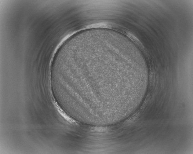 X0000078870800200612041957