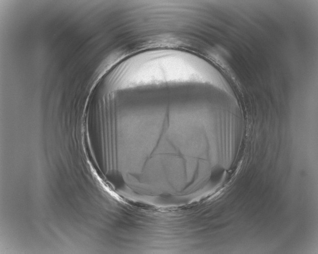 X0000078870802200612041956