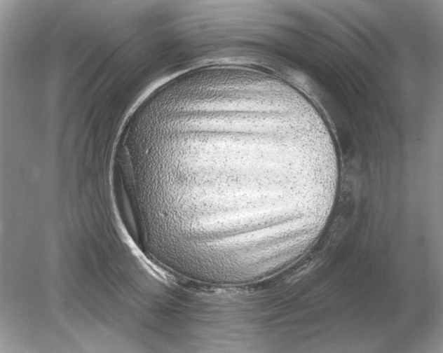 X0000078870803200612041956