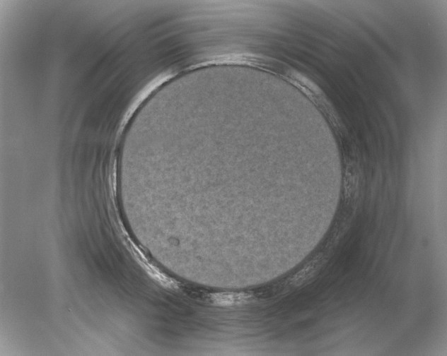 X0000078870804200612041956