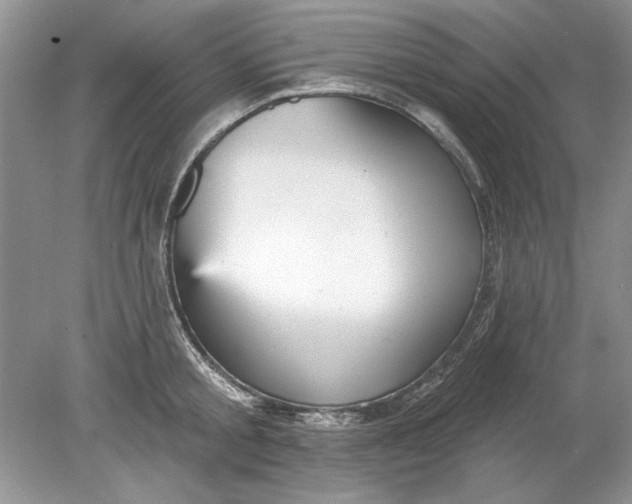 X0000078870805200612041956