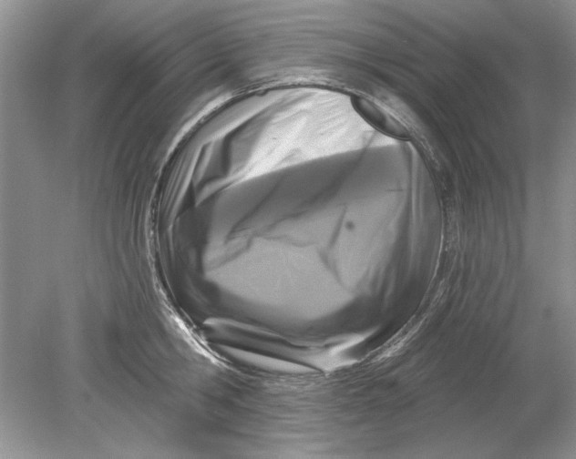 X0000078870806200612041956