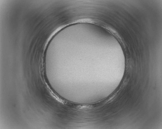 X0000078870808200612041956