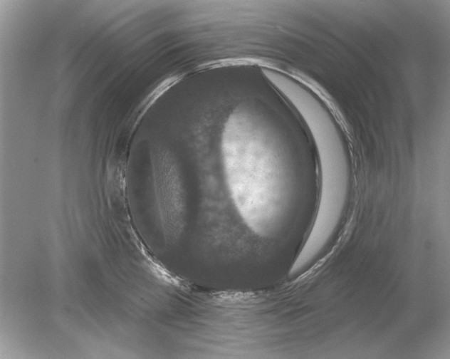 X0000078870809200612041956