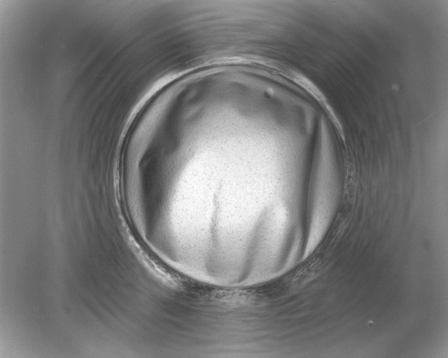 X0000078870811200612041956