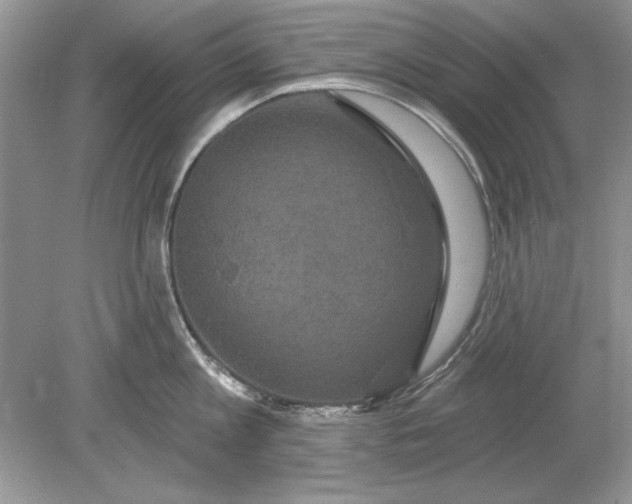 X0000078870813200612041956