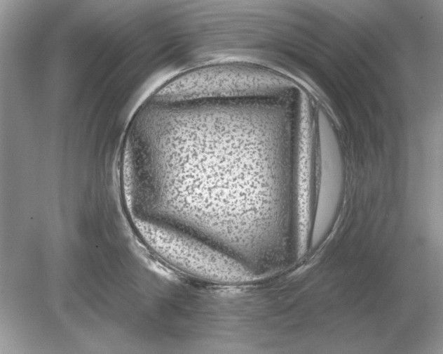 X0000078870814200612041956