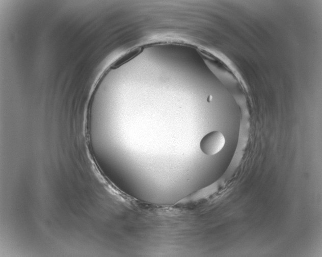 X0000078870815200612041956