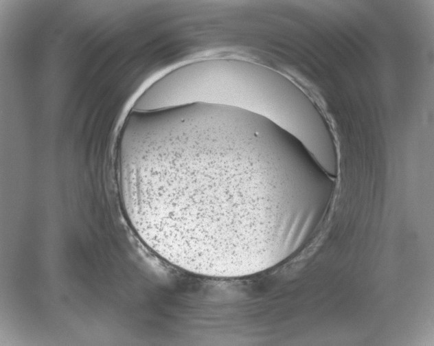 X0000078870816200612041956