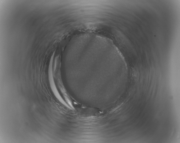 X0000078870818200612041955