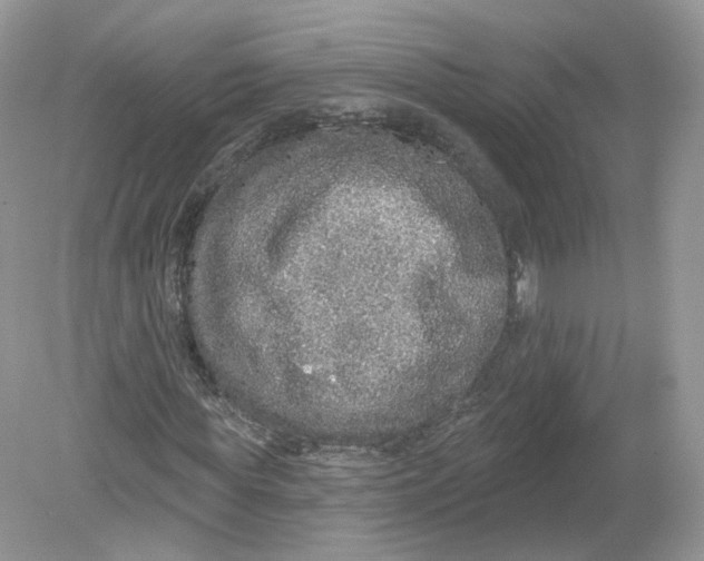 X0000078870819200612041955