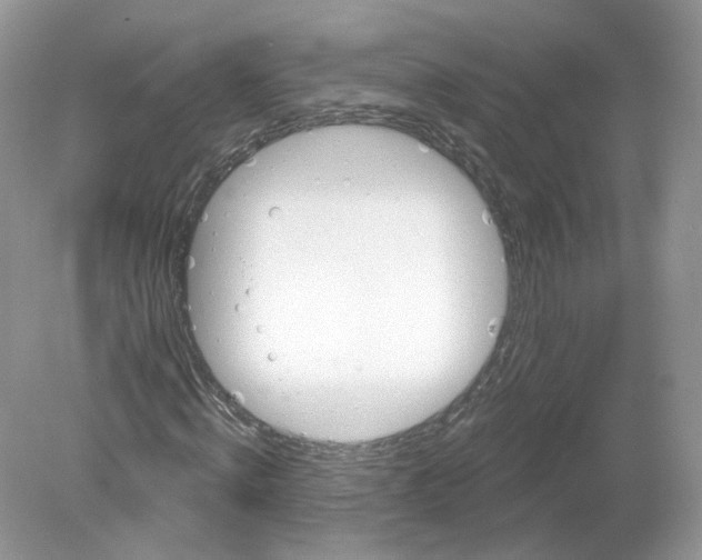 X0000078870820200612041956