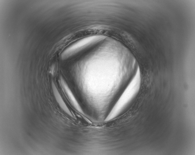 X0000078870821200612041956