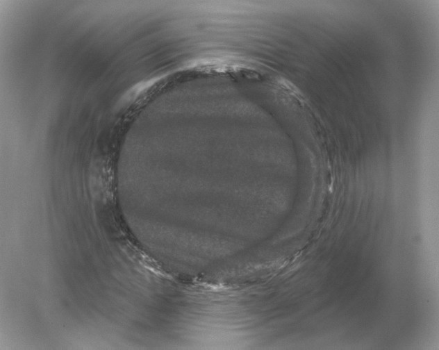 X0000078870822200612041956