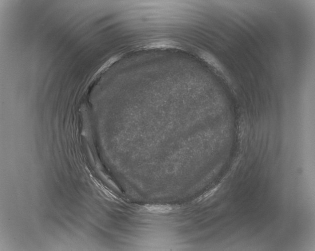 X0000078870825200612041956