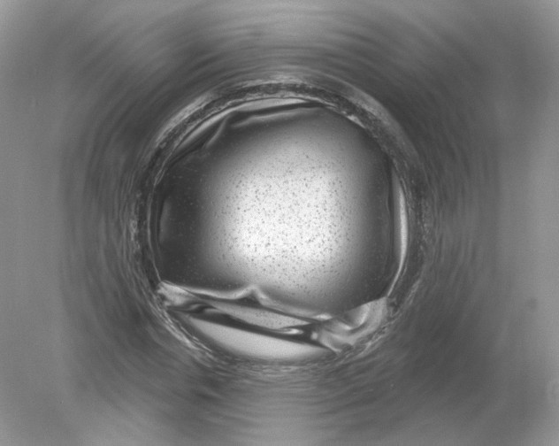 X0000078870826200612041956