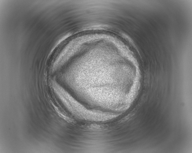 X0000078870827200612041956