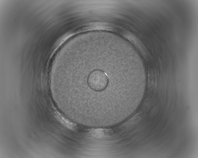 X0000078870828200612041956