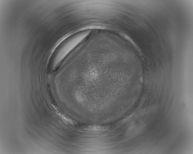 X0000078870829200612041956