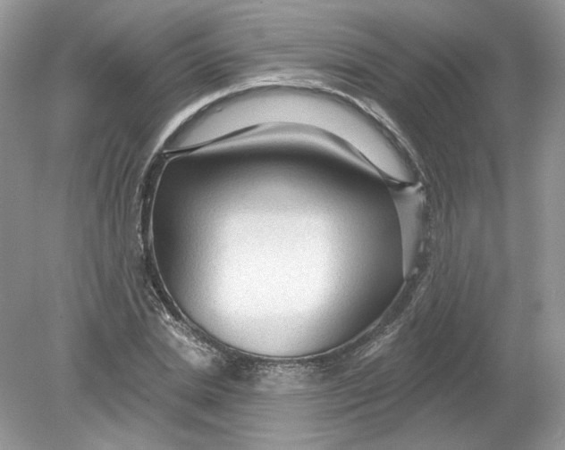 X0000078870830200612041956