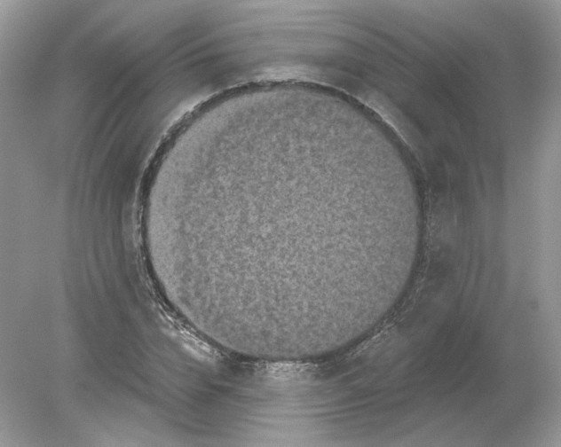 X0000078870832200612041956