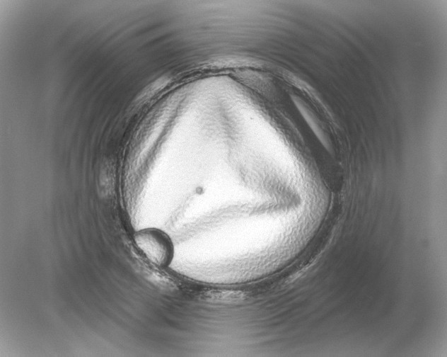 X0000078870833200612041956