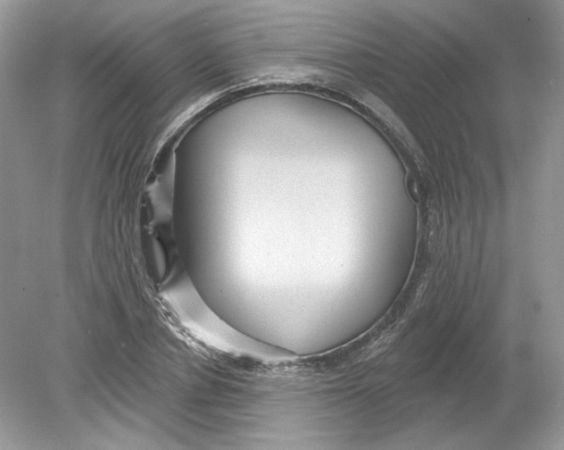 X0000078870834200612041956