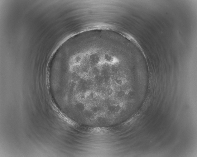 X0000078870835200612041956