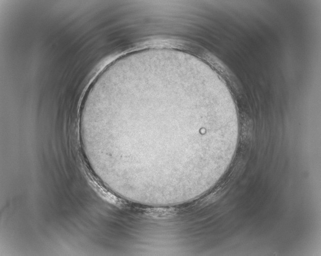 X0000078870836200612041956