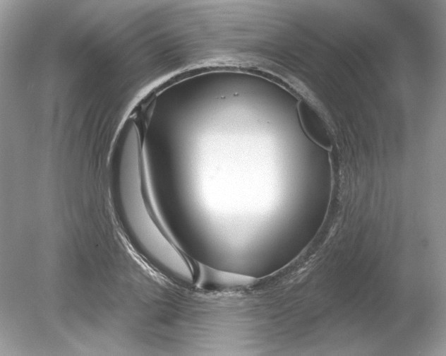 X0000078870838200612041956