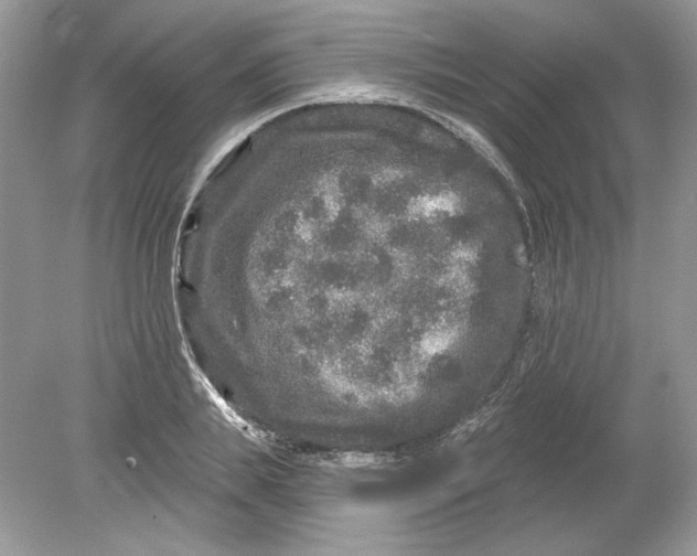 X0000078870839200612041956