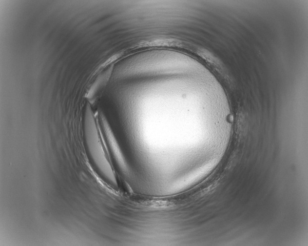 X0000078870841200612041956