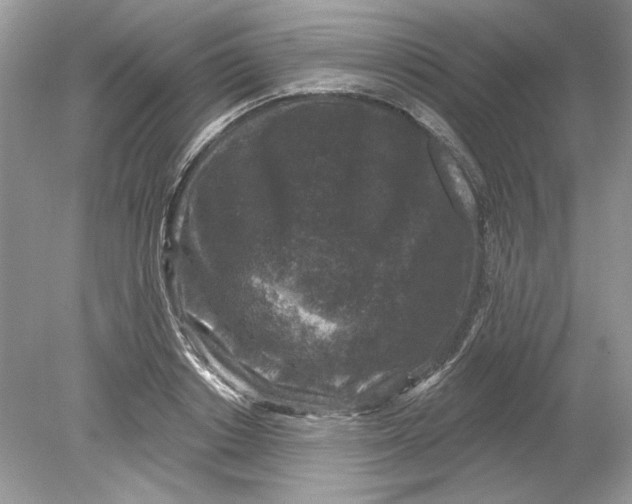 X0000078870842200612041956