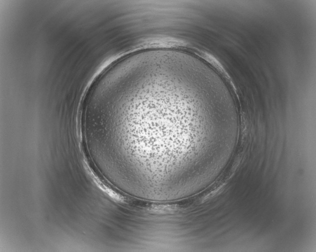 X0000078870843200612041956