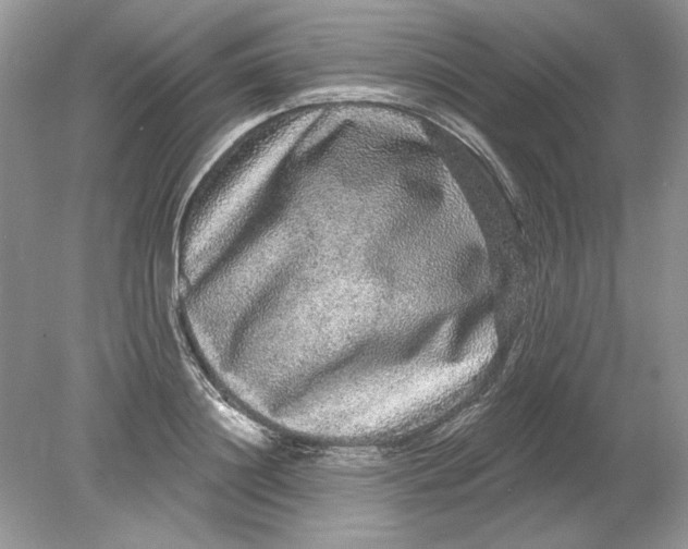 X0000078870844200612041956