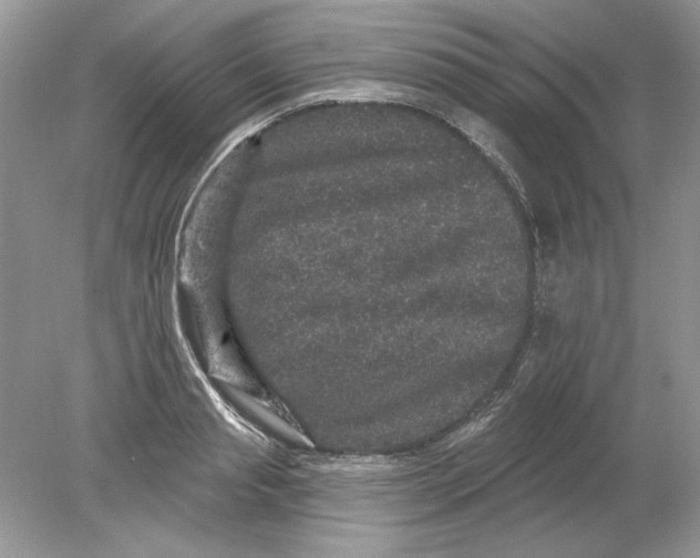 X0000078870845200612041956