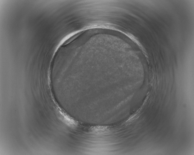 X0000078870846200612041956