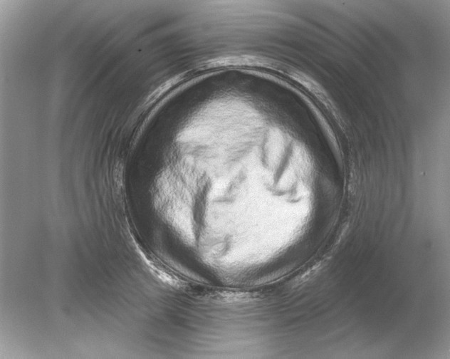 X0000078870849200612041956