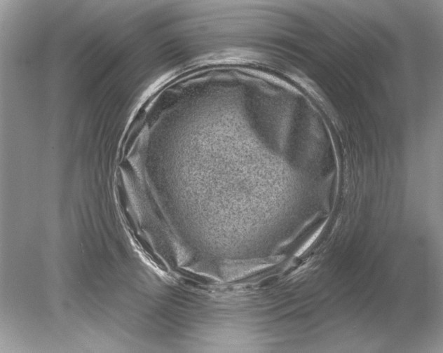 X0000078870850200612041956