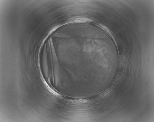 X0000078870851200612041956