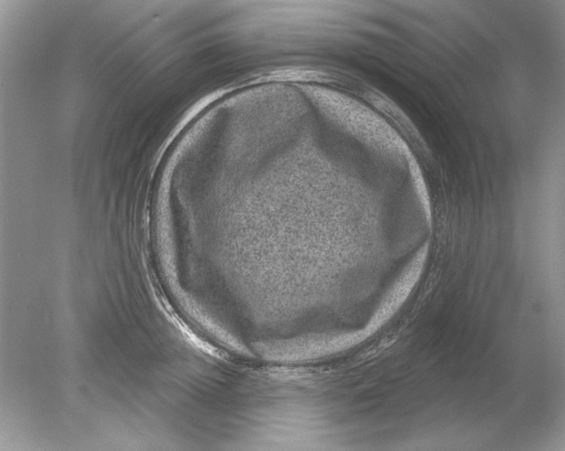 X0000078870852200612041956