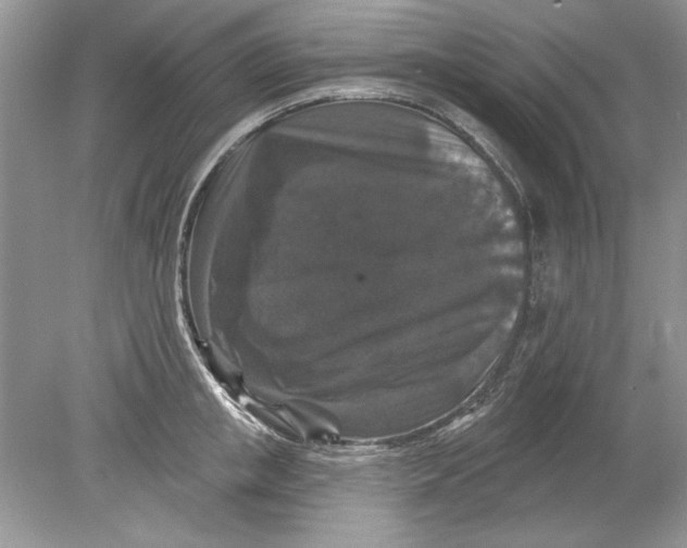 X0000078870853200612041956