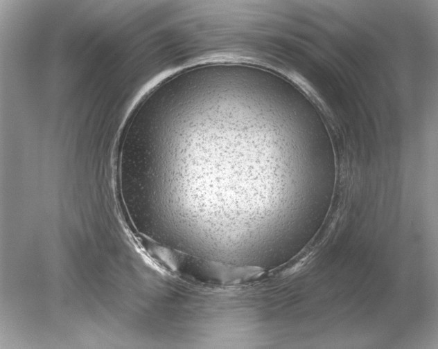 X0000078870854200612041956